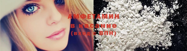 амф Снежногорск