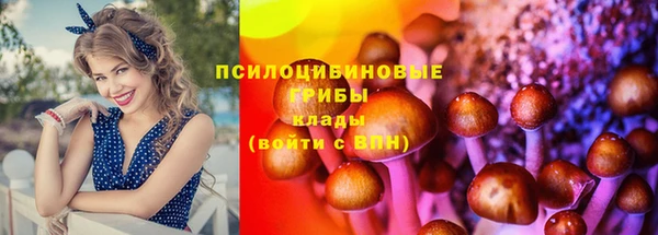 COCAINE Тайга